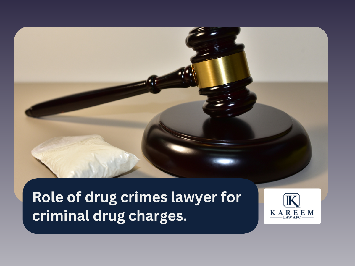 Drug crime lawyer